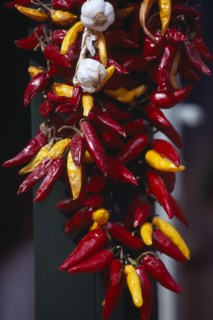 HUNGARY, Budapest, Garlic bulbs and red and yellow paprika hanging on string.