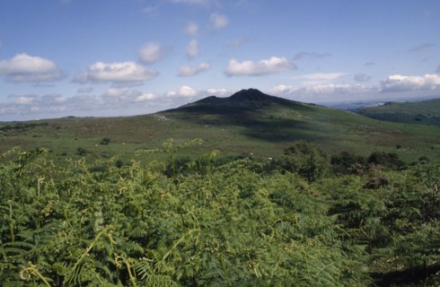 ENGLAND, Devon, Dartmoor, Rocky granite outcrop or tor with green bracken in foreground and shadows