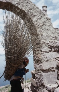 PERU, Puno, Lake Titicaca, Taquile Island.  Local man carrying bundle of twigs on his back framed