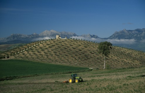 SPAIN, Andalucia, A tractor ploughing a terrace overlooked by a stone building on a hill and