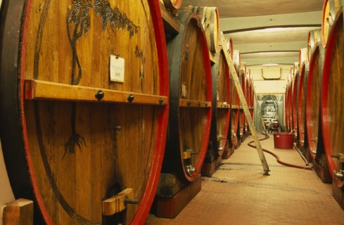ITALY, Veneto, Lake Garda, Bardolino.  Large wooden wine casks in cellar at the Museum of Wine.