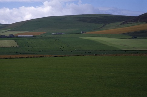 SCOTLAND, Orkney Island, Agriculture, Agricultural landscape showing field patterns and mix of