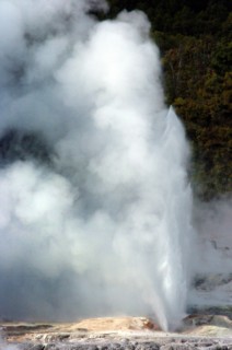 NEW ZEALAND, NORTH ISLAND, ROTORUA, BOILING SULPUROUS POOLS AND GEYERS AT WHAKAREWAREWA THERMAL