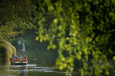 NEW ZEALAND, SOUTH ISLAND, CHRISTCHURCH, "CANTERBURY, TOURISTS BEING PUNTED ALONG THE RIVER AVON IN