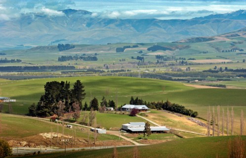 NEW ZEALAND, SOUTH ISLAND, FAIRLIE, "CANTERBURY, VIEW WEST FROM MOUNT MICHEAL ACROSS THE FARMIMG
