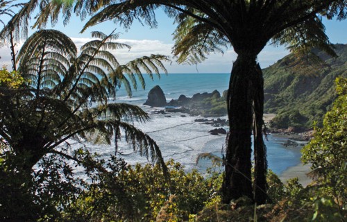 NEW ZEALAND, SOUTH ISLAND, WEST COASt, "UNNAMED BAY, NEW ZEALAND FERNS AT AN UNAMED BAY OFF THE