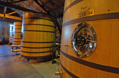 NEW ZEALAND, NORTH ISLAND, HAWKES BAY, "NAPIER, GENERAL VIEW OF THE CUVE ROOM AT CHURCH ROAD WINERY