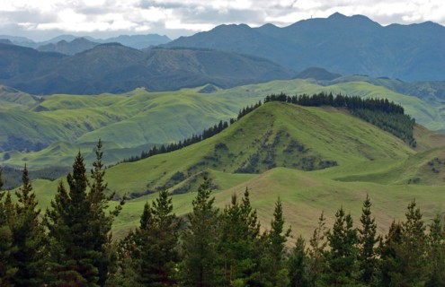 NEW ZEALAND, NORTH ISLAND, HAWKES BAY, "NAPIER, VIEW OF THE PAKAUTUTU MOUNTAINS LOOKING INLAND