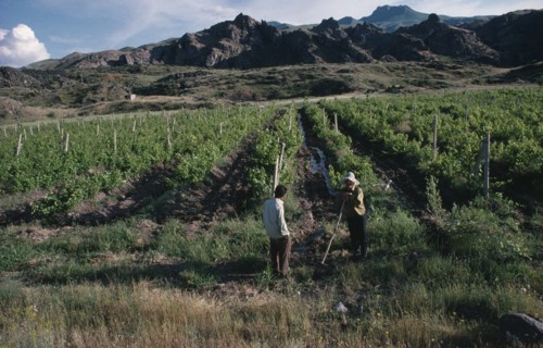 ARMENIA, Vaik Region, Agriculture, Landscape with vineyards and two men stopped in conversation in