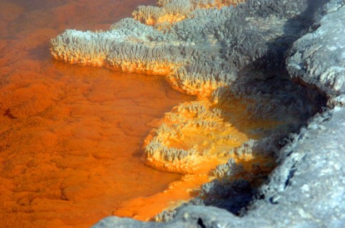 NEW ZEALAND, NORTH ISLAND, ROTORUA, THE CHAMPAGNE POOL OF WAI O TAPU THERMAL WONDERLAND.THE SPRING