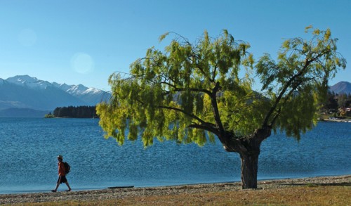 NEW ZEALAND, SOUTH ISLAND, WANAKA, "OTAGO, A MAN WALKS THE SHORELINE OF LAKE WANAKA."