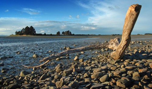 NEW ZEALAND, SOUTH ISLAND, NELSON, VIEW OF THE COAST ESTUARY FROM MARTIN STREET ON THE MONACO