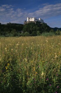 AUSTRIA, Salzburg, Hohensalzburg fortress situated on densely forested hillside above meadowland.