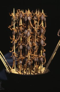 CHINA, Beijing, Barbequed scorpions on bamboo skewers.