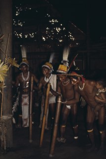 COLOMBIA, North West Amazon, Tukano Indigenous People, Barasana stave dance.  Line of male dancers