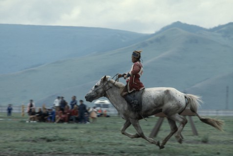 MONGOLIA, Ulan Bator, "Nadam  National Day  Child jockey coming to end of 20 mile cross country