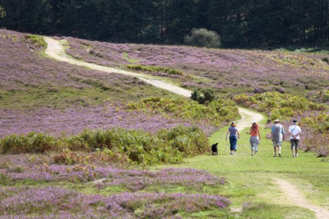 ENGLAND, Hampshire, The New Forest, Ogdens Purlieu a fertile valley near Ogden Village. Four people