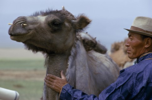 MONGOLIA, Agriculture, Khalkha herdsman dressed in traditional Mongol silk tunic shows off his