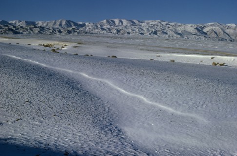 MONGOLIA, Gobi Desert, Biger Negdel, Mid-winter with snow-covered desert pastures. Onvoy of trucks