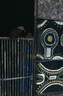 COLOMBIA, North West Amazon, Tukano Indigenous People, Detail of Makuna communal tribal home or