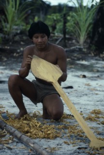 COLOMBIA, North West Amazon, Tukano Indigenous People, Makuna man making a typical Vaupes canoe