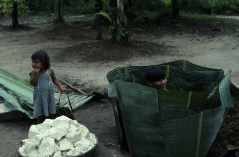 COLOMBIA, North West Amazon, Tukano Indigenous People, Makuna maloca communal home Blocks of manioc