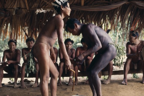 COLOMBIA, North West Amazon, Vaupes, Pair of Maku men taking part in dance watched by others seated