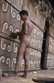 COLOMBIA, North West Amazon, Tukano Indigenous People, Barasana Indian painting design on front of