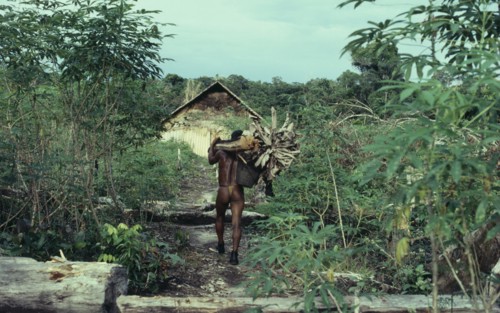 COLOMBIA, North West Amazon, Tukano Indigenous People, "Barasana Indian returns to maloca/communal