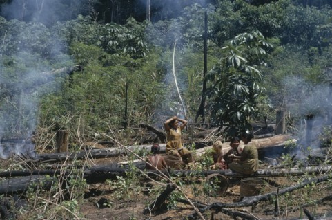COLOMBIA, North West Amazon, Tukano Indigenous People, Barasana women in cleared area of rainforest