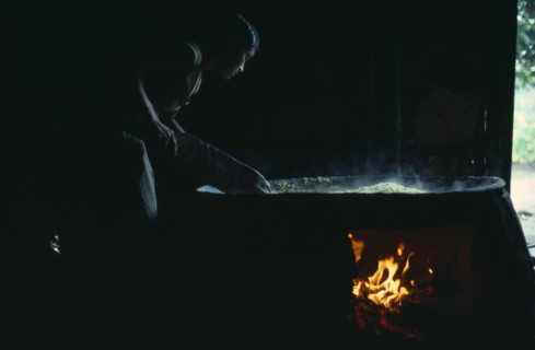 COLOMBIA, North West Amazon, Tukano Indigenous People, "Barasana woman making casabe bread from