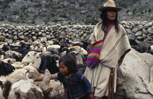 COLOMBIA, Sierra Nevada de Santa Marta, Ika, Ika shepherd Hernando with his baby brother  feeding