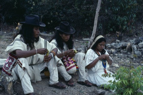 COLOMBIA, Sierra Nevada de Santa Marta, Ika, Ika  children of the Chaparro family beside grave of