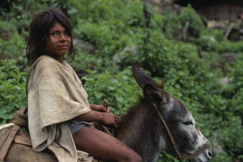 COLOMBIA, Sierra Nevada de Santa Marta, Ika, Ika boy in traditional woven wool&cotton manta cloak