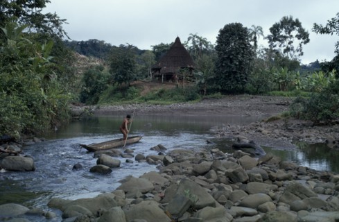 COLOMBIA, Choco, Embera Indigenous People, "Embera man using pole to steer wooden dug out canoe
