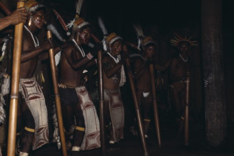 COLOMBIA, North West Amazon, Tukano Indigenous People, "Barasana stave dance  hollow yarumo wood
