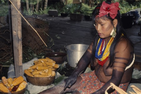 COLOMBIA, Choco, Embera Indigenous People, Young Embera woman  body painted with black dye