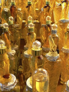 KOREA, South, Seoul, "Namdaemun market, ginseng root in glass jars"