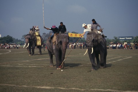 NEPAL, Chitwan National Park, A match taking place at the World Elephant Polo Championships