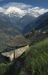 NEPAL, Annapurna Region, Landruk, Sanctuary Trek. Circular stone building with thatched roof