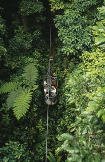 COSTA RICA, Landscape, Rainforest, Tourists in aerial tram through rainforest near Braulio Carillo