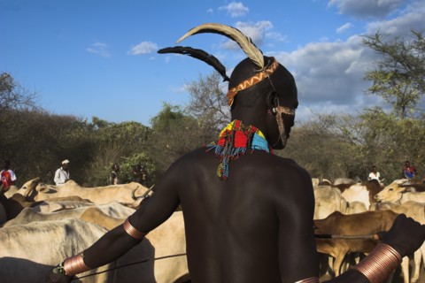 ETHIOPIA, Lower Omo Valley, Turmi, "Hama Jumping of the Bulls initiation ceremony, Ritual dancing