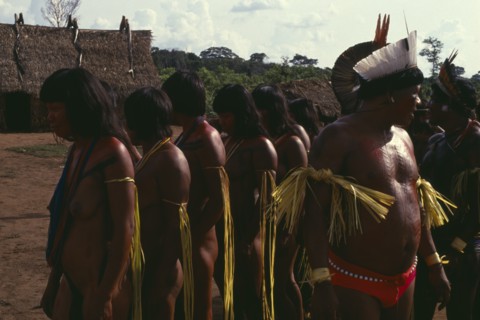 BRAZIL, Mato Grosso, Indigenous Park of the Xingu, Panara men wearing crowns or head-dresses of