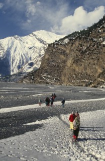NEPAL, Annapurna Region, Khobang, Circuit Trek. Thakali villagers walking on the snow covered trail