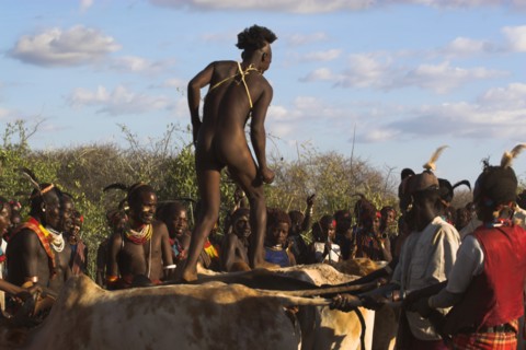 ETHIOPIA, Lower Omo Valley, Tumi, "Hama Jumping of the Bulls initiation ceremony, the naked