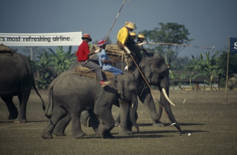 NEPAL, Chitwan National Park, A match taking place at the World Elephant Polo Championships