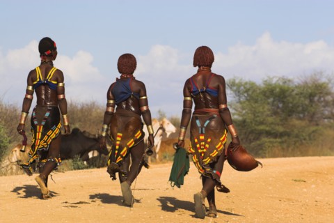 ETHIOPIA, Lower Omo Valley, Tumi, "Hama Jumping of the Bulls intiation ceremony, the initiate