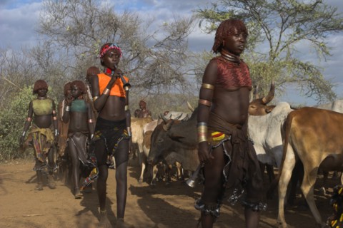 ETHIOPIA, Lower Omo Valley, Turmi, "Hama Jumping of the Bulls initiation ceremony, Ritual dancing