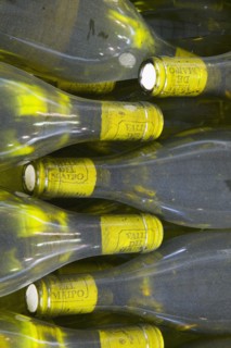 CHILE, Valle del Maipo, Bottles of white wine ready for cleaning and labelling.