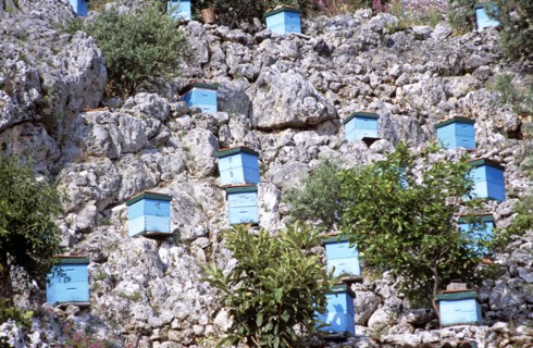 GREECE, Ionian Islands, Kefalonia, Blue beehives on side of cliff.